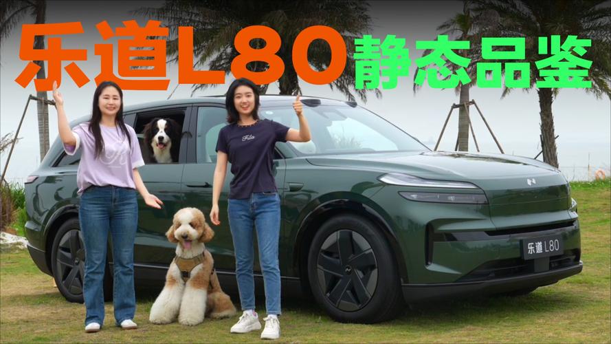 _�����Ĵ�����ȫ����������ô��? �������ֵ�L80�����Ĵ�_�����Ĵ�����ȫ����������ô��? �������ֵ�L80�����Ĵ�