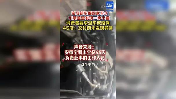 Ů�����ᱦ�������ؼҷ���������²�4ֻСè�������������·���𻵣�4S�꣺����ǰδ�����쳣���������˻�����׼��2ֻСè�ѱ�����_Ů�����ᱦ�������ؼҷ���������²�4ֻСè�������������·���𻵣�4S�꣺����ǰδ�����쳣���������˻�����׼��2ֻСè�ѱ�����_