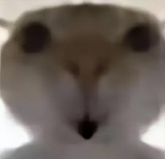 ���۳���̯_��ͷ���ĵ��۳�_