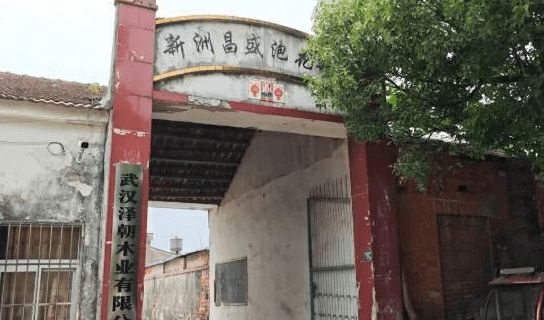 ���ߴ���С���ַ�����Ȩ��__�������ֳ����߰���