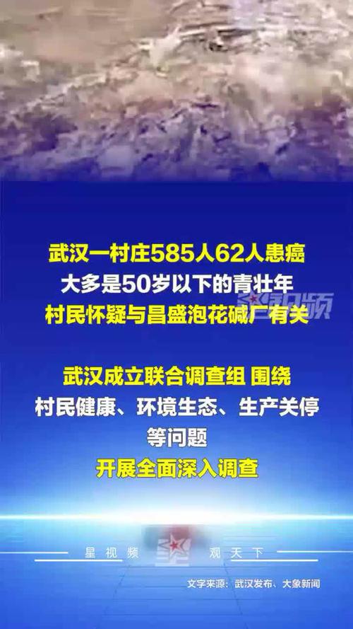 �人��֢��_�人��֢��������_
