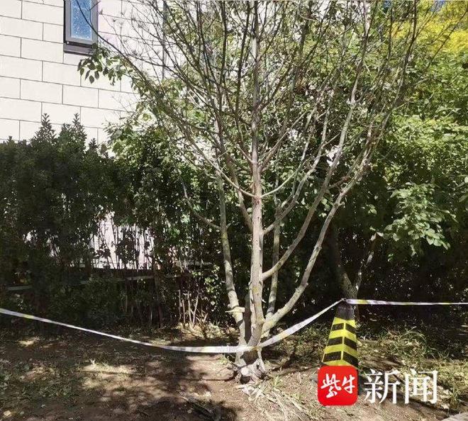 ��ͯС����ˣ׹��6����������­�����˻����Ѵ�18�죬�ҳ������ڽ��ñ��帲�ǣ���ҵֻ��֧��10��Ԫ��ο�𣻵����˷�����ѽ������__��ͯС����ˣ׹��6����������­�����˻����Ѵ�18�죬�ҳ������ڽ��ñ��帲�ǣ���ҵֻ��֧��10��Ԫ��ο�𣻵����˷�����ѽ������