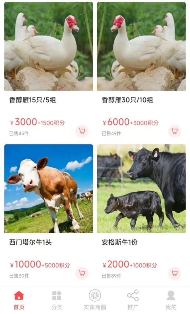 �Ϻ�180���������˱�ƭ��������