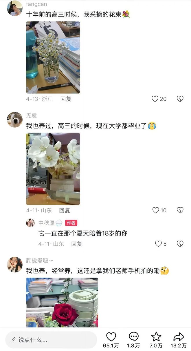 ������Щ����_�����ʺ���ʲôֲ��_