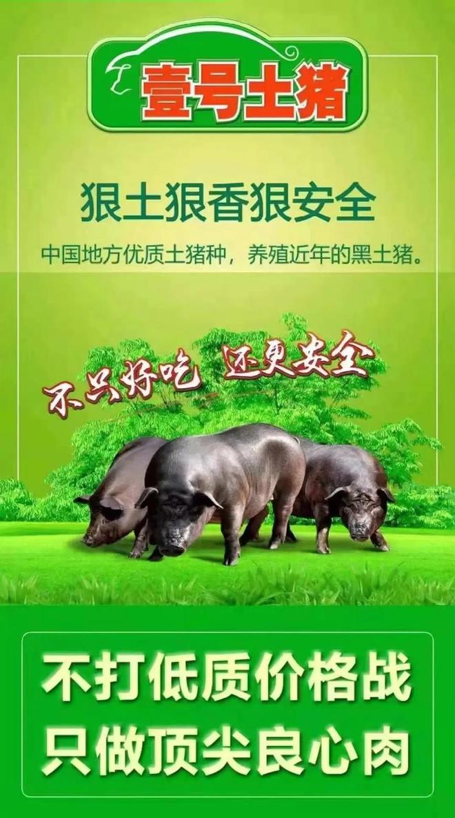 Ҽ��������ʼ�˻�Ӧ�̱����飺֧