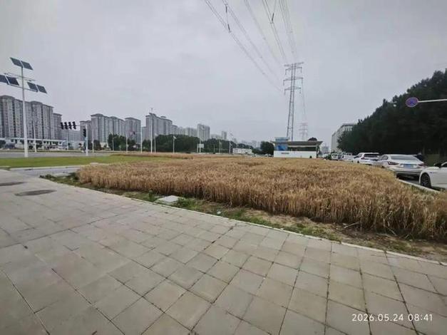 �̻�����С��_�������������������_