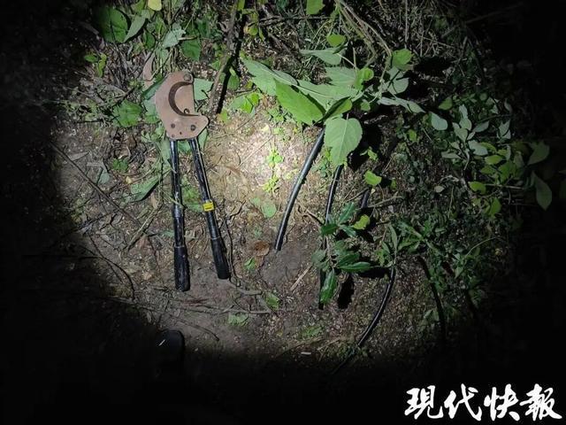 ����͵����ʱײ���񾯣���æ���