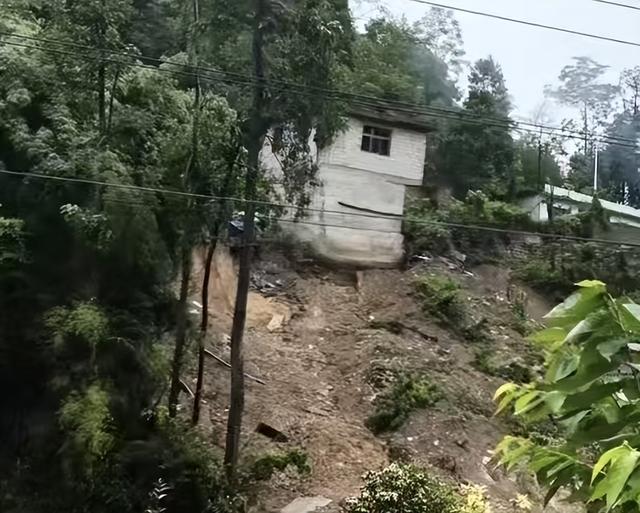 ���ݳ�˳һ�����������п�������