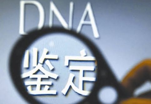 Ů�ӳƾƺ�������������֣�DNA