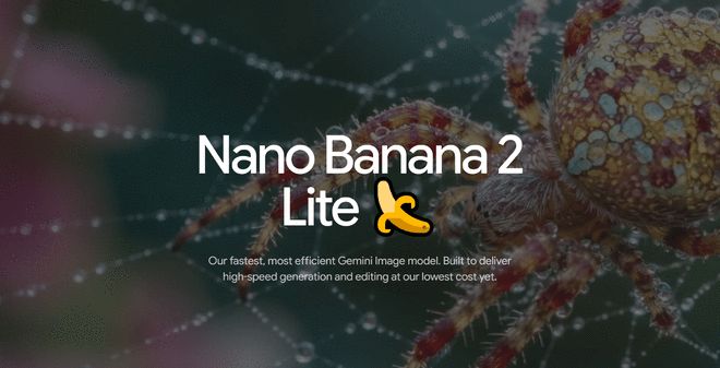 �ȸ跢��Nano