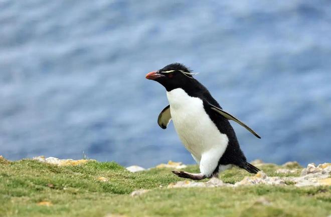 �¹ظ��������������գ�̸